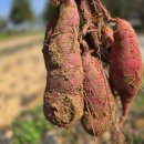 행복한농어촌체험마을 이미지