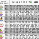 2023년 6월 13일 운세 및 세상 소식 이미지