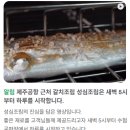 성심축산 이미지