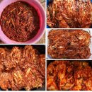 배추 10포기( 약 27 ~ 30키로 기준) 김장김치 담기 이미지