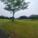 비젼C.C 네이버블로그