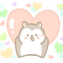 산하신승부 이미지
