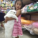 양산펫샵119