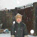 총각농장 이미지