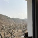 양양 디저트 양양 카페 배배젤라또