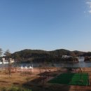 낙동강변11 이미지