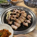 돈우애