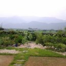 파란물가하얀집 이미지