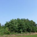 부발읍-01 이미지