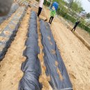 향교농장 이미지