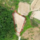 복숭아쉼터 이미지