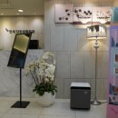 연세다인성형외과의원 이미지