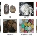와인생각 이미지