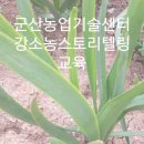 남화농장 네이버블로그