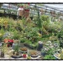 삽재농장 이미지