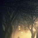 페노메논 카카오 검색결과