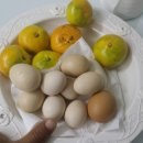 윤씨네농장 이미지