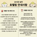 포항유치원 | 포항 문덕 강아지 호텔링 추천 | 댕토피아 애견 유치원 후기