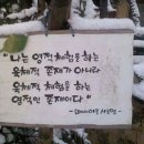 나무의노래 이미지