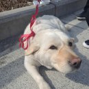 봉촌농장 이미지