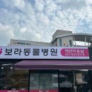 보라종합동물병원 이미지