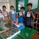 영일초등학교 이미지