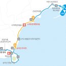 송악산 숲길 | [제주올레길 10코스 완주기] 화순금모래해변 → 하모체육공원, 송악산과 섯알오름을 품은 걷기 여행