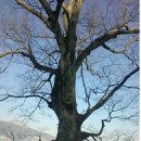 장수황토펜션 이미지