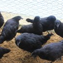 태승농장 이미지