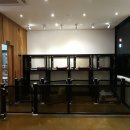 페로하임 이미지