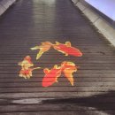 붕어섬1(다리앞) | [임실 옥정호 붕어섬생태공원] 25.10.22.수 방문 후기