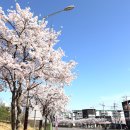 아양1로 이미지