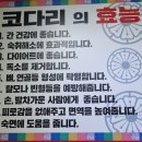 금강코다리
