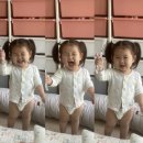 번데미 공원 이미지