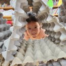 초록나라유치원 이미지