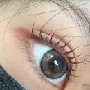 김포한강1로 | 김포 운양동 속눈썹펌 잘하는 곳, 오브유뷰티 후기