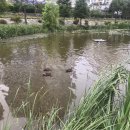 연의체육공원 이미지