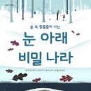 숲속작은나라 이미지