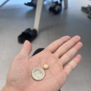 (주)바이탈코리아 이미지