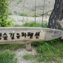 편백숲길 유하팬션 이미지