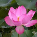 상미
