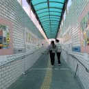 범천2동-12 네이버블로그