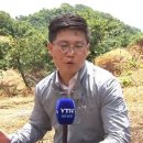 투썸플레이스 세종고운힐데스점