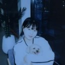 멍멍이와 야옹이 나들이 이미지