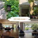 Brush | 바리스타 1위 부산 해운대 모모스커피 마린시티점 솔직후기(주차 꿀팁 정리)