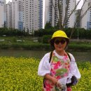 태릉입구역 8번출구 이미지