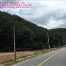 홍천군내면방내보건진료소 | 방내리 토지(임야)경매/홍천군 내면 방내리 산198-3 /2018타경4495