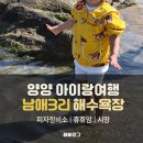 양양 아이랑 가볼만한곳 물놀이하기 좋았던 남애3리해수욕장