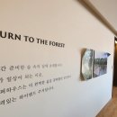 내곡동297 이미지