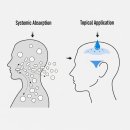 클라스코인 이미지